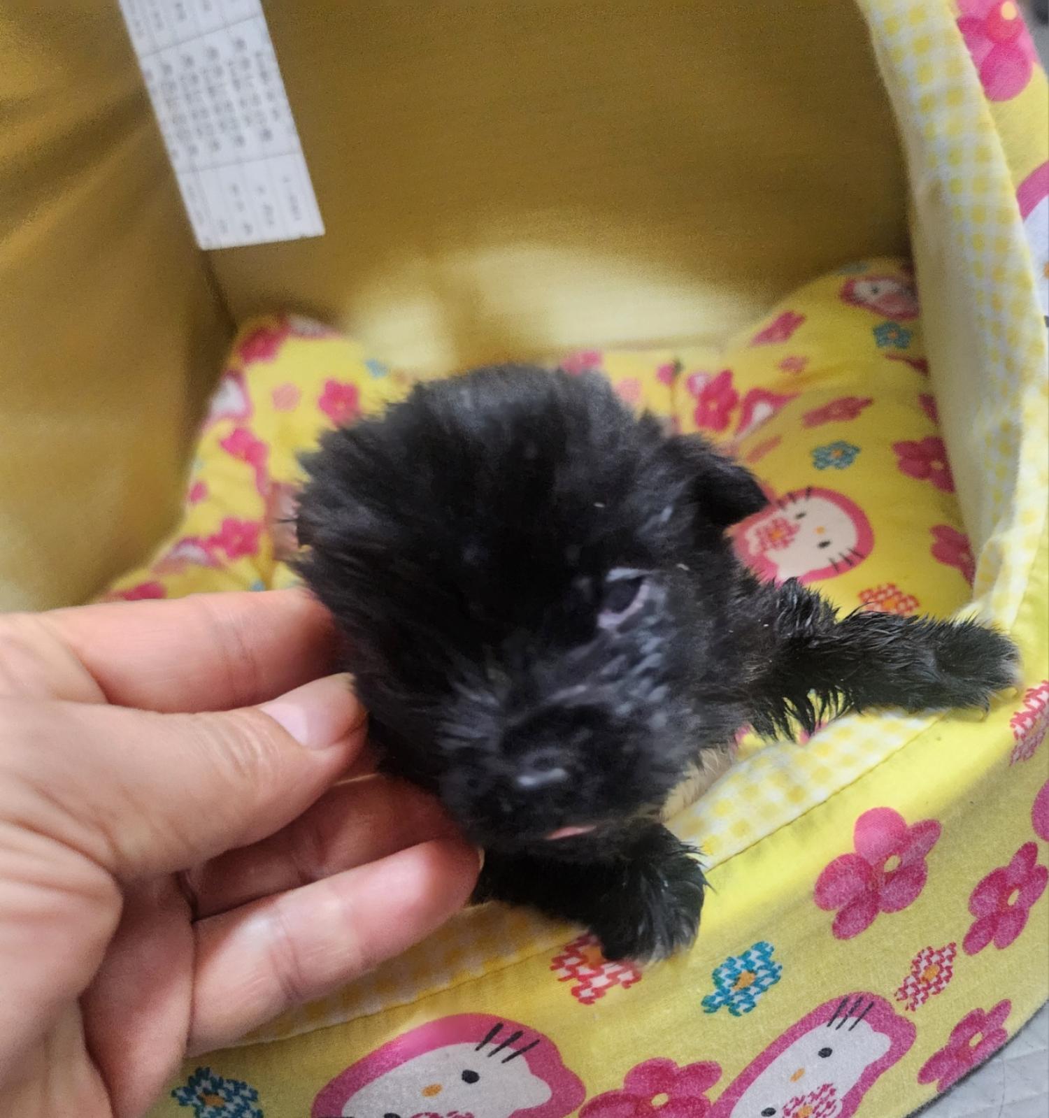 울산유기동물보호센터_431369202400664